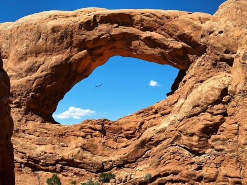Window Arch, Raven